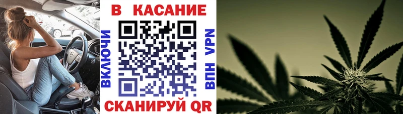 Псилоцибиновые грибы Тбилисская