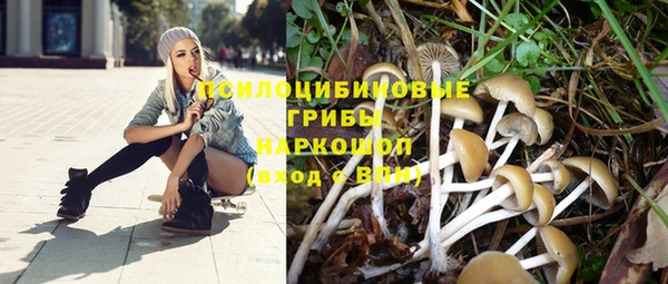 шишки Абдулино