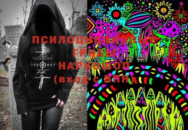 шишки Абдулино
