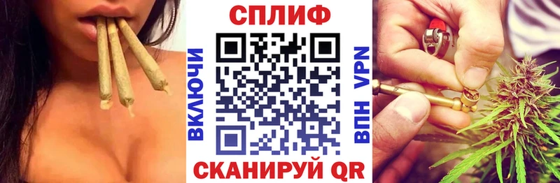 Конопля марихуана  Тбилисская 